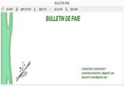 BULLETIN_PAIE_2.0 Finances & Entreprise