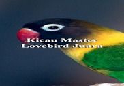 Kicau Master Lovebird Juara