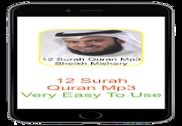 Sheikh Mishary 12 Surah Coran