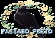 Pássaro Preto Canto Mateiro Mineiro