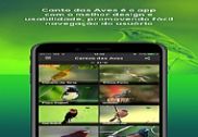 Todos Cantos Pássaros Brasil - HD Multimédia