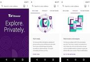 Tor Browser Android Internet