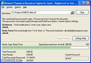 Password Recovery Engine for Excel Bureautique
