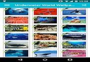 Underwater World Wallpapers! Multimédia