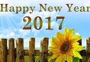 Happy New Year Greetings 2018 Multimédia