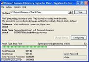 Password Recovery Engine for Word Utilitaires