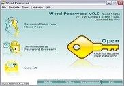 LastBit Word Password Recovery Utilitaires