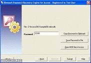 Password Recovery Engine for Access Utilitaires