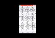 Labyrinthe : Maze Ninja Jeux