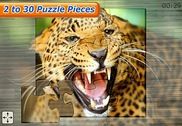 Amazing Animals Jigsaw Puzzles Jeux