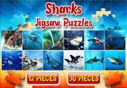Kid Sharks Puzzle jeu Jeux