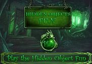 Hidden Objects Fun Jeux
