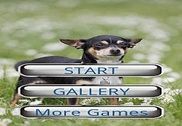 Dog Puzzle: Chihuahua Jeux