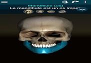 Système osseux 3D (anatomie) Maison et Loisirs