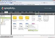 Syncplicity Utilitaires