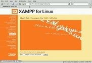 XAMPP Linux Internet