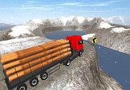 Truck Driver Jeux