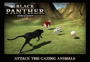 Hungry vengeance Black Panther Jeux