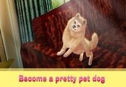 Pomeranian Dog Simulator 3D Jeux