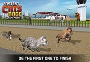 Fastest Cats Race - 100 Meter Jeux