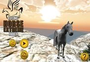 Flying Horse Extreme Tour Jeux