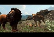 True Lion Simulator Jeux