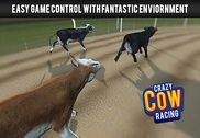 Crazy Cow Racing Jeux