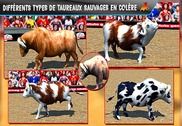 Fureur bull fight 3d Jeux