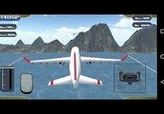 Flight Simulator : Fly 3D Jeux