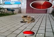 Pocket Kitten GO Jeux