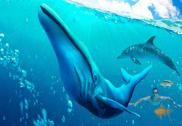 Super Requin Attaque Évolution Simulateur 3D Jeux