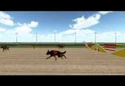 Crazy Dog Xtreme Racing Jeux