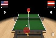 Virtual Table Tennis 3D Jeux