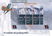 Fine Ski Jumping Jeux