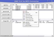 SWF to MP3 Converter Multimédia