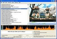 DivXLand Media Subtitler Multimédia