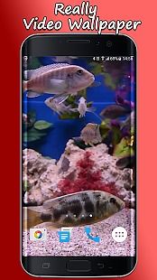 Aquarium Video Wallpaper