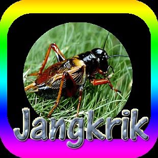  MP3  SUARA  JANGKRIK  pour Android T l charger gratuitement