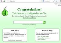 Browser internet portable tor hidra захват с наркотиками