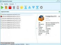 Megaupload Downloader Megaupload Downloader