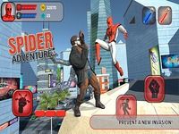 Spider Adventure Spider Adventure