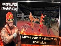 Champion de Lutte 3D Champion de Lutte 3D