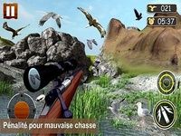 Africaine de chasse d'oiseaux Africaine de chasse d'oiseaux