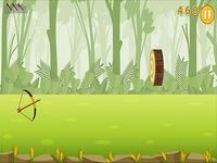 Flip Archery Flip Archery