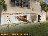 Angry Wild Lion Attack Angry Wild Lion Attack