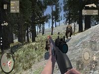 Bear Forest Hunting Patrol Bear Forest Hunting Patrol