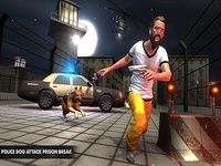 Police Dog Attaque Prison Police Dog Attaque Prison