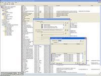 IDEAL Migration IDEAL Migration