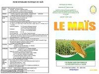 Gestion d'une exploitation agricole : production de maïs Gestion d'une exploitation agricole : production de maïs
