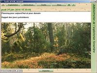 Forêt Forêt